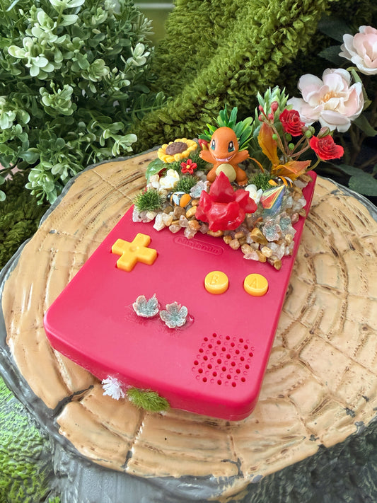 Fire Starter Gen 1 GBC Console Terrarium