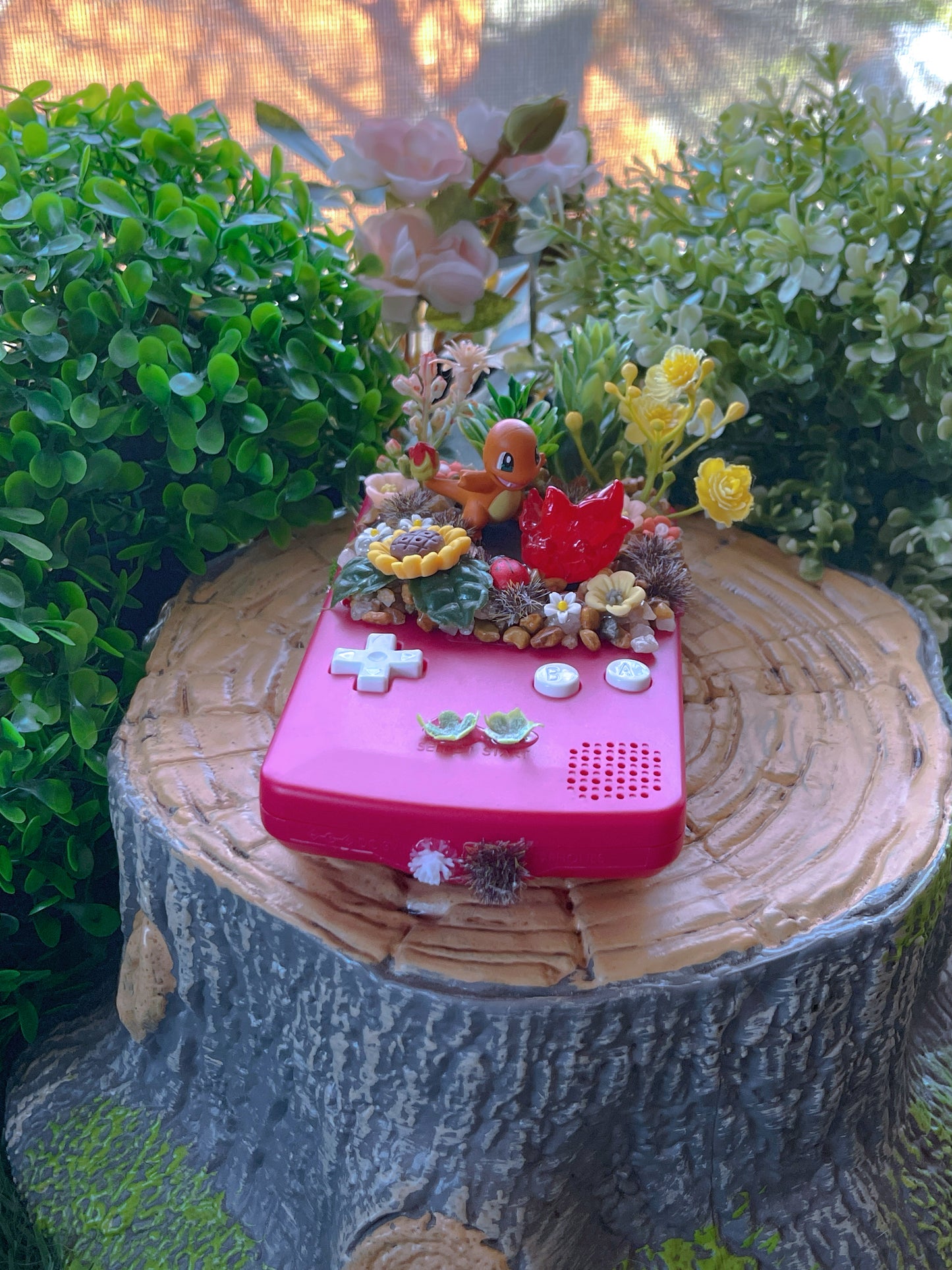Fire Starter 1 GBC Console Terrarium