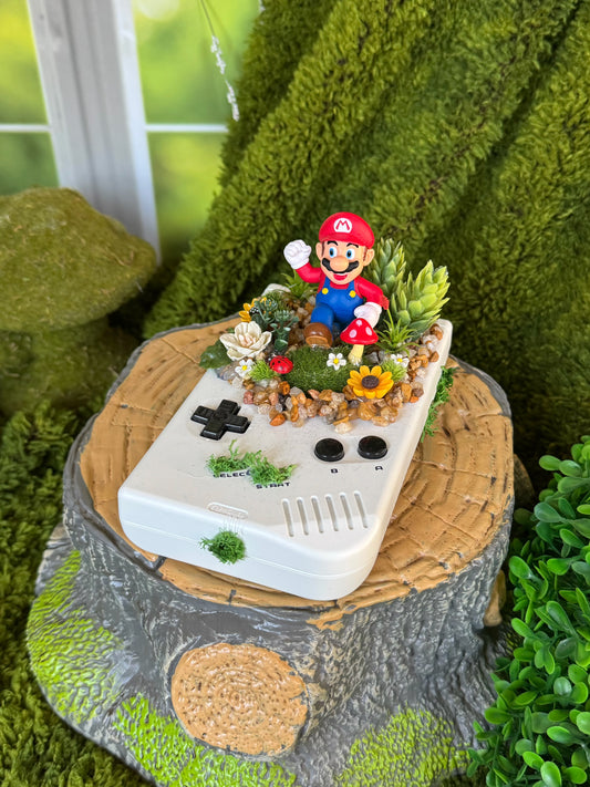 Mario GBC Console Terrarium