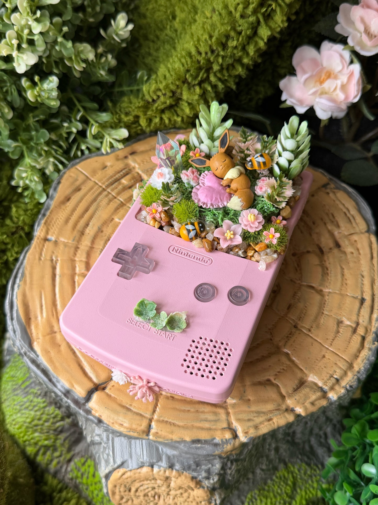 Evolution Dog GBC Console Terrarium