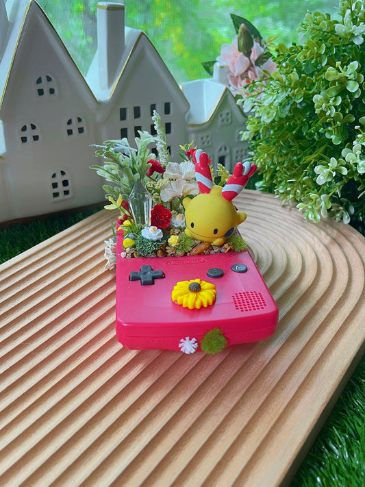 Bell Friend GBC Console Terrarium